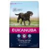 Eukanuba Thriving Mature Large Breed  15 kg