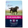 Eukanuba Thriving Mature Large Breed  15 kg