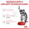 Royal Canin Kitten Sterilised - ivartalanított kölyök macska nedves táp 12 x  85 g