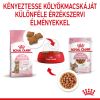 Royal Canin Kitten Sterilised - ivartalanított kölyök macska nedves táp 12 x  85 g