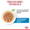 Royal Canin Mini Puppy alutasakos 10 x  85 g
