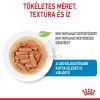 Royal Canin Medium Puppy alutasakos 10 x  140 g