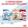 Royal Canin Medium Puppy alutasakos 10 x  140 g