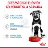 Royal Canin Maxi Puppy alutasakos 10 x  140 g