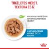 Royal Canin Maxi Puppy alutasakos 10 x  140 g