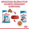 Royal Canin Maxi Puppy alutasakos 10 x  140 g