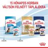 Royal Canin Maxi Puppy alutasakos 10 x  140 g