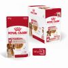 Royal Canin Medium Adult - szószos nedves táp, közepes testű felnőtt kutya részére 10 x  140 g