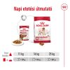 Royal Canin Medium Adult - szószos nedves táp, közepes testű felnőtt kutya részére 10 x  140 g