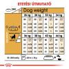 Royal Canin German Shepherd Adult - Német Juhász felnőtt kutya száraz táp  11 kg