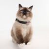 TickLess Mini Cat ultrahangos kullancs- és bolhariasztó 1 db