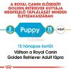 Royal Canin Golden Retriever Puppy - Golden Retriever kölyök kutya száraz táp  3 kg