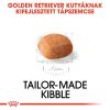 Royal Canin Golden Retriever Puppy - Golden Retriever kölyök kutya száraz táp  12 kg