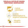 Royal Canin Maltese Adult - Máltai Selyemkutya felnőtt kutya száraz táp  500 g