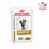 Royal Canin Feline Urinary S/O Chicken Wet - Alutasakos  85 g