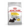 Royal Canin Mini Dermacomfort - száraz táp bőrirritációra hajlamos, kistestű felnőtt kutyák részére  3 kg