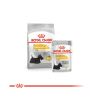 Royal Canin Mini Dermacomfort - száraz táp bőrirritációra hajlamos, kistestű felnőtt kutyák részére 8 kg