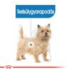 Royal Canin Light Weight Care - alutasakos eledel hízásra hajlamos kutyák részére  85 g
