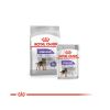 Royal Canin Mini Sterilised - száraz táp ivartalanított, kistestű felnőtt kutyák részére  3 kg