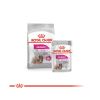 Royal Canin Mini Exigent - száraz táp válogatós, kistestű felnőtt kutyák részére  3 kg