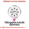 Royal Canin Exigent - alutasakos eledel válogatós kutyák részére  85 g
