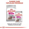 Royal Canin Exigent - alutasakos eledel válogatós kutyák részére  85 g
