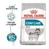 Royal Canin Maxi Joint Care - száraz táp az ízületek egészségéért, nagytestű felnőtt kutyák részére  10 kg