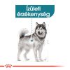 Royal Canin Maxi Joint Care - száraz táp az ízületek egészségéért, nagytestű felnőtt kutyák részére  10 kg