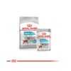 Royal Canin Mini Urinary Care - száraz táp érzékeny húgyrendszerű, kistestű felnőtt kutyák részére  1 kg