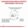 Royal Canin Feline Hypoallergenic 25  400 g