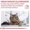 Royal Canin Feline Hypoallergenic 25  400 g