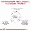 Royal Canin Feline Renal Select  4 kg