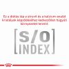 Royal Canin Feline Diabetic Wet - Alutasakos 12 x  85 g