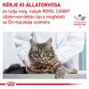 Royal Canin Feline Diabetic Wet - Alutasakos 12 x  85 g