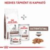 Royal Canin Gastrointestinal  15 kg