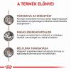 Royal Canin Gastrointestinal  15 kg