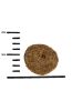 Green Petfood VeggieDog Origin szárazeledel  10 kg