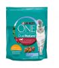 Purina ONE DualNature Cranberry csirkével  750 g