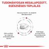 Royal Canin Feline Renal Special  400 g