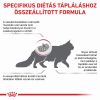Royal Canin Feline Renal Special  400 g