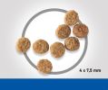 Hill's Science Plan Adult Small & Mini száraz kutyatáp, bárány és rizs  300 g
