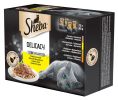 Sheba Delicacy alutasakos eledel - szárnyas válogatás 12 x  85 g
