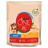 Purina ONE Mini Junior száraz kutyaeledel  800 g