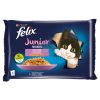 Felix Fantastic Junior Vegyes Válogatás csirkével, lazaccal 4 x  85 g
