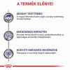 Royal Canin Feline Neutered Adult Maintenance Wet - Alutasakos 12 x  85 g