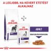 Royal Canin Adult Large Dog  13 kg