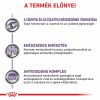 Royal Canin Large Adult Dog  13 kg