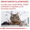 Royal Canin Feline Neutered Satiety Balance  400 g