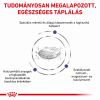 Royal Canin Dental Small Dog  1.5 kg