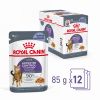 Royal Canin Appetite Control Care - étvágyat kontrolláló zselés nedves táp felnőtt macskák részére 12 x  85 g